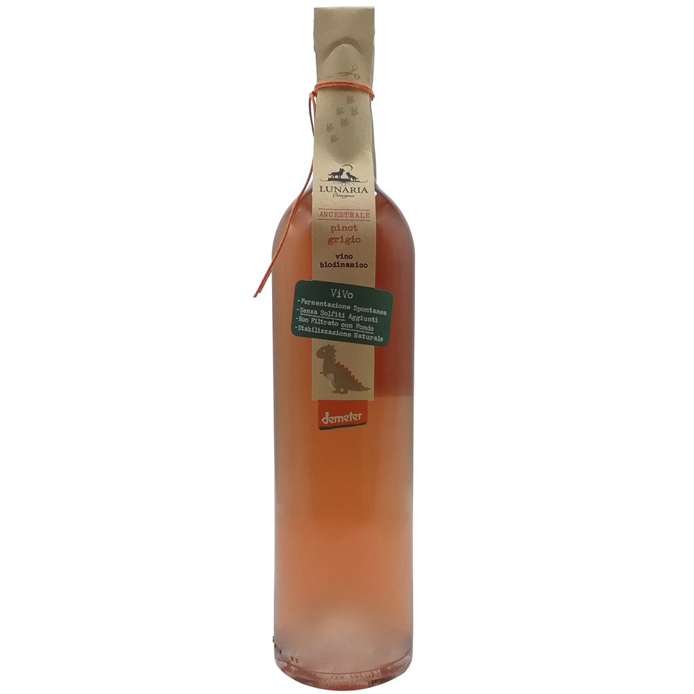 Lunaria Pinot Grigio Vino Bianco Ramato Ancestrale Terre di Chieti Igp Biologico Biodinamico Senza Solfiti Agg. Vegano Col Fondo Bt. Cl.75