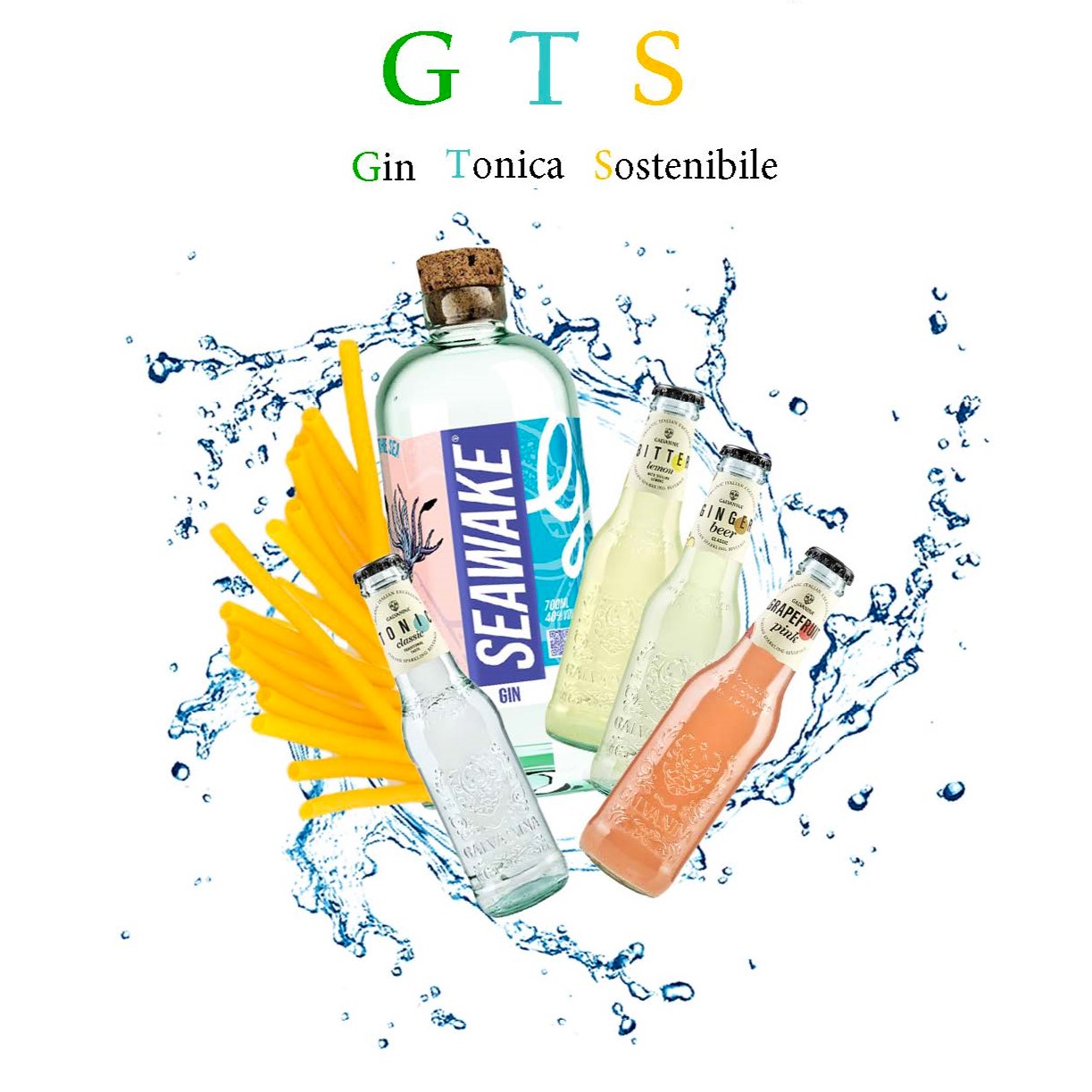 GTS (Gin + Tonica + Sostenibile) 2 Gin + 24 toniche con 60 cannucce biologiche OMAGGIO
