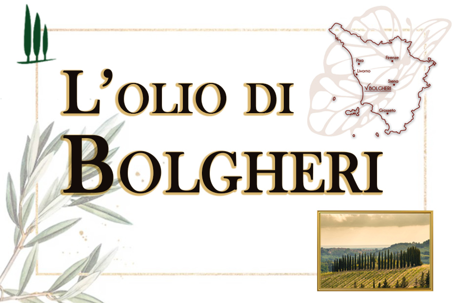 T. Vaira Olio Evo Italiano (Toscana) Bt. Antirabocco Cl.50 - immagine 2