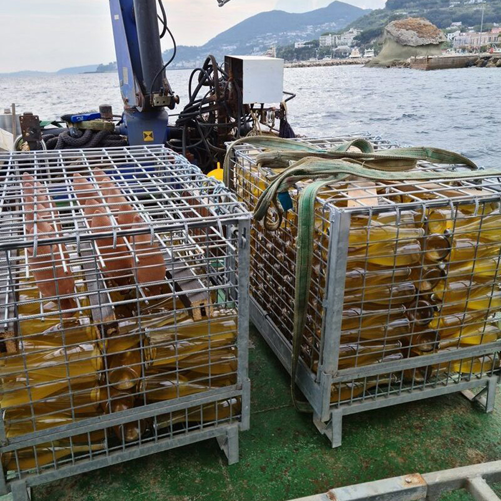 Tommasone Deep Sea Perlage Ischia Bianco Doc Sotto il Mare Vino Spumante Brut Metodo Classico Bt. Cl.75 - immagine 3